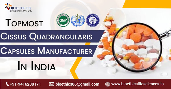 Cissus Quadrangularis Capsules Manufacturer in India
